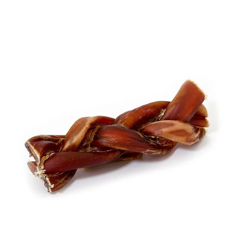 Nerf de bœuf Tressé 100 % naturel SANADOG – Gros Calibre 12 cm (1 pièce)