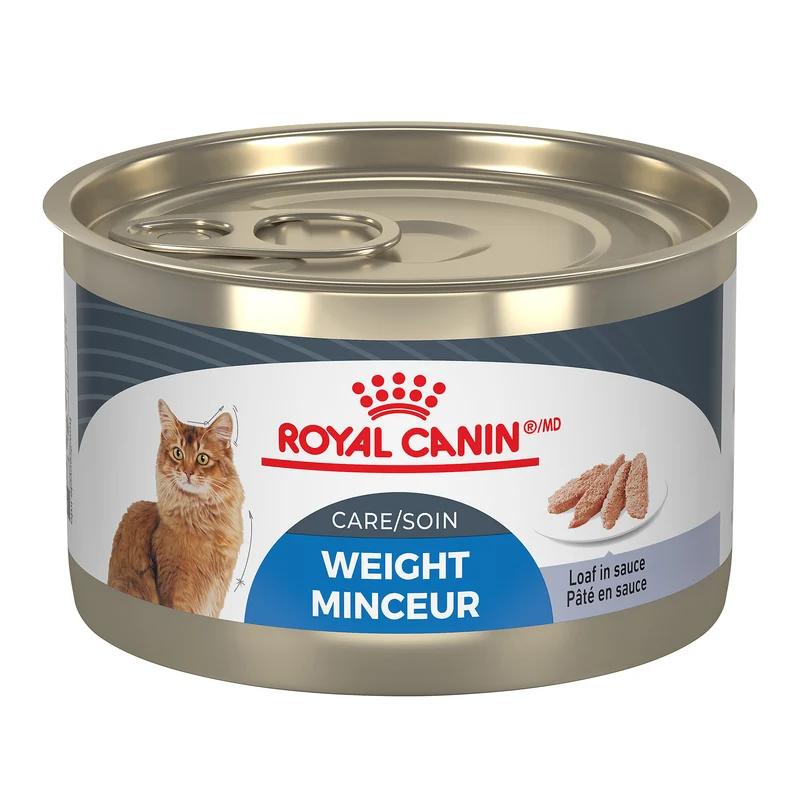Royal Canin - Chat Soin Minceur Pâté en Sauce - Nourriture Humide pour Chats