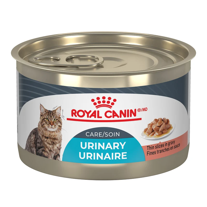Royal Canin - Chat Soin Urinaire Tranche en Sauce - Nourriture Humide pour Chats
