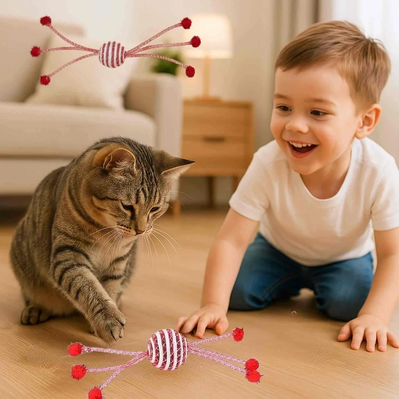 jeu pour chat | La Petite Comète