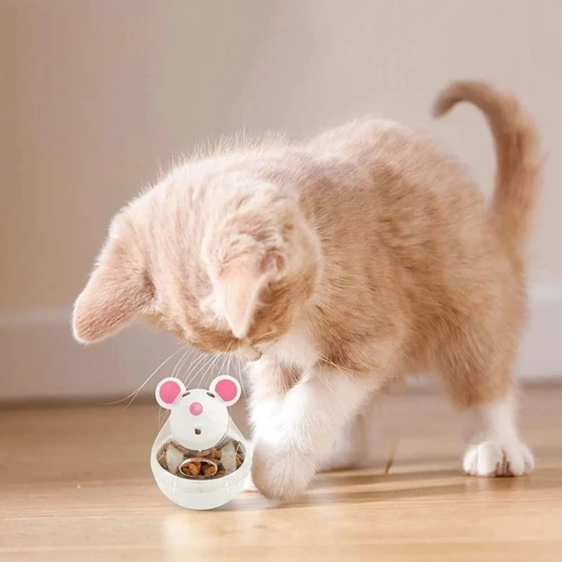 distributeur croquettes chat | DISTRI MOUSE