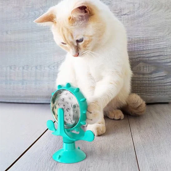 Jeu interactif chat | JOUCROC