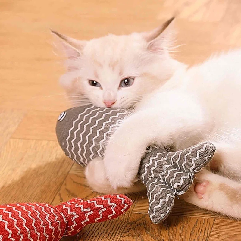 Poisson pour chat | Poisson'Mignon