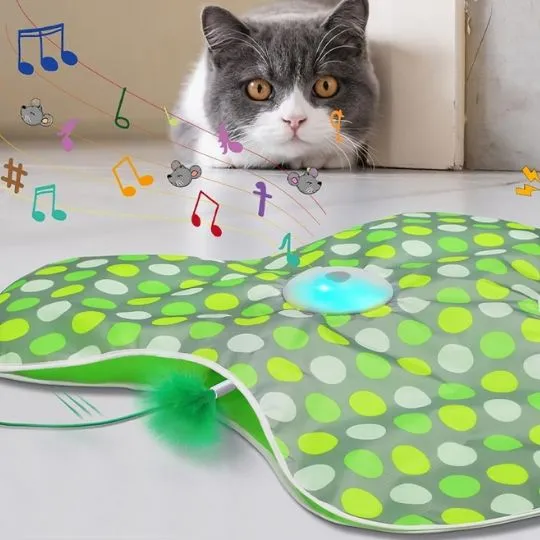 Jeu pour chat | Cache'Cache Souris