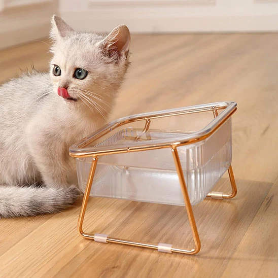 Gamelle pour chat | Surélevée & Chic