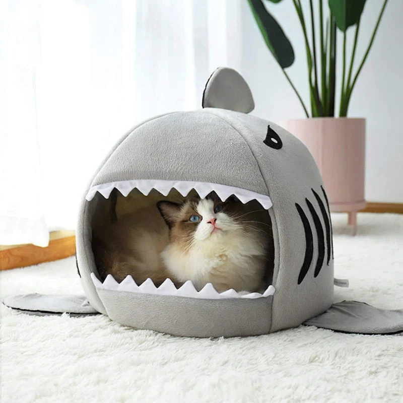 niche chat | Sharknook