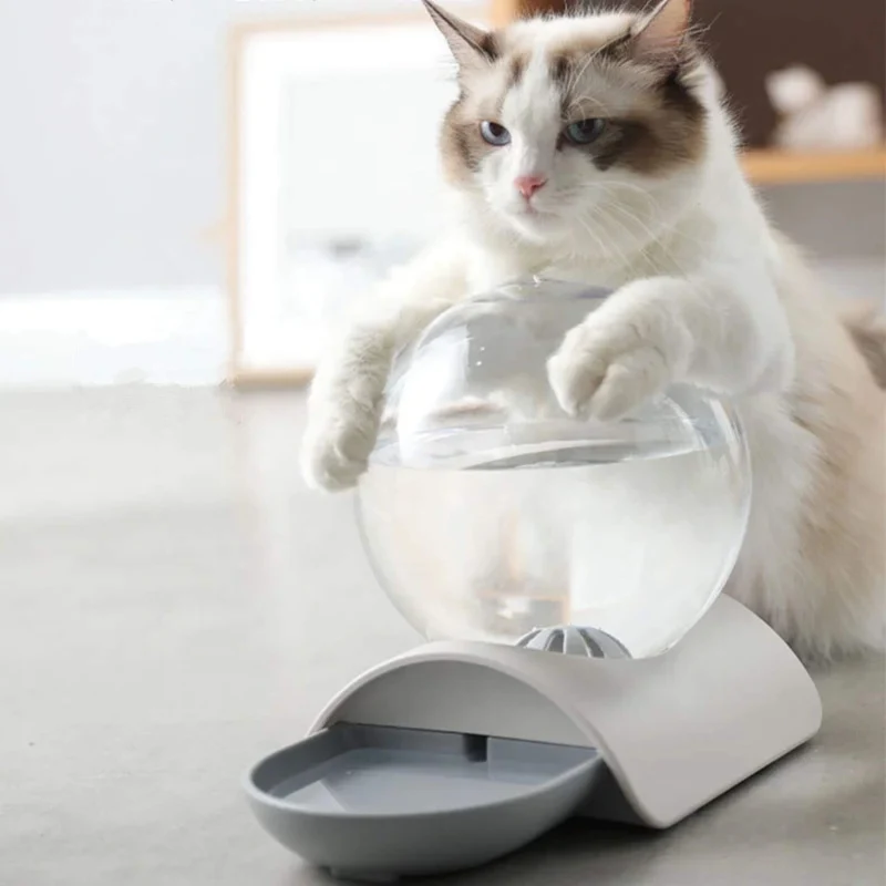 gamelle eau chat | ChatOasis