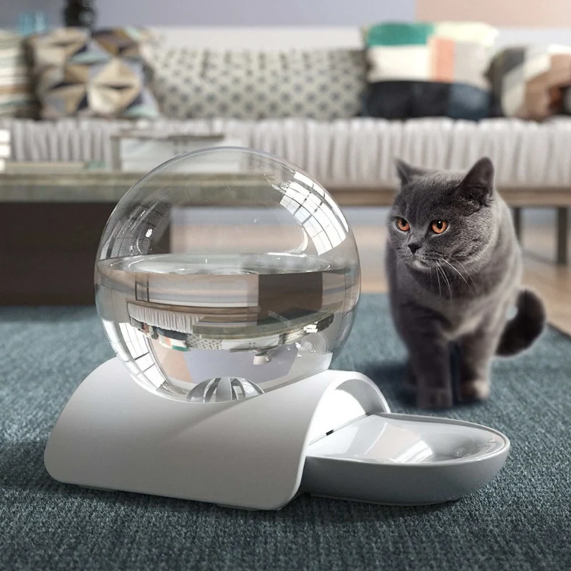 distributeur eau pour chat | ChatOasis