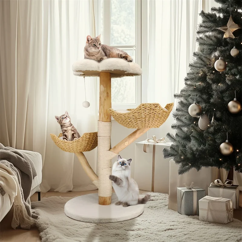 Arbre à chat moderne en bois massif – Centre d’activités design avec griffoirs pour chats d’intérieur