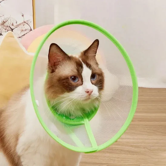 Collerette Chat - Anti-grattage