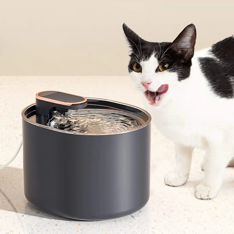 FONTAINE A EAU POUR CHAT | AquaPurr