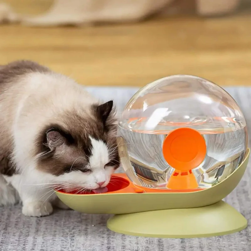 fontaine à eau chat sans électricité escargot
