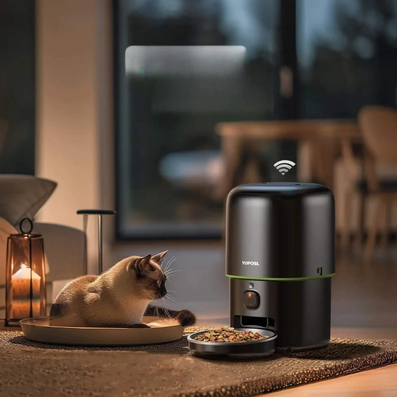 distributeur de croquettes chat | CatChef Automatique