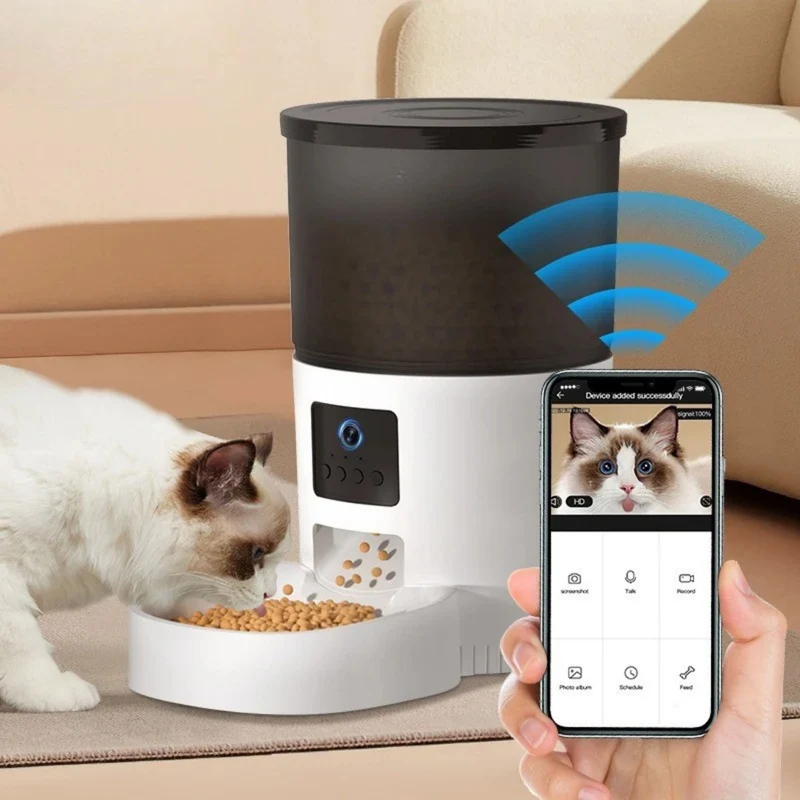 distributeur croquettes chat vidéo