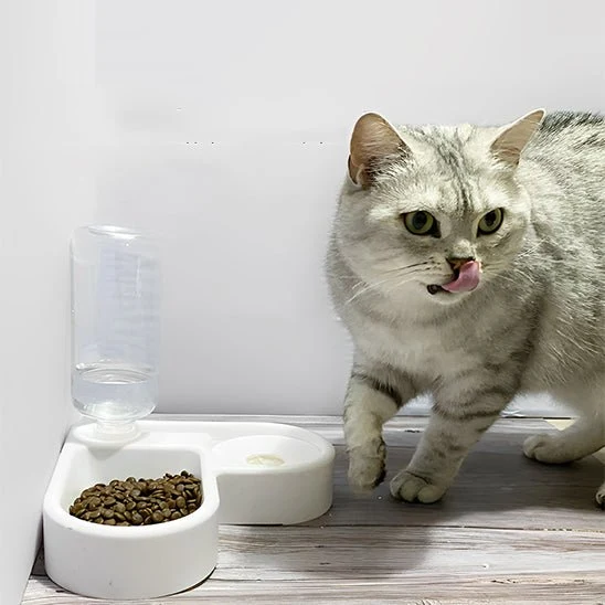 gamelle chat | ANGLE BOWL