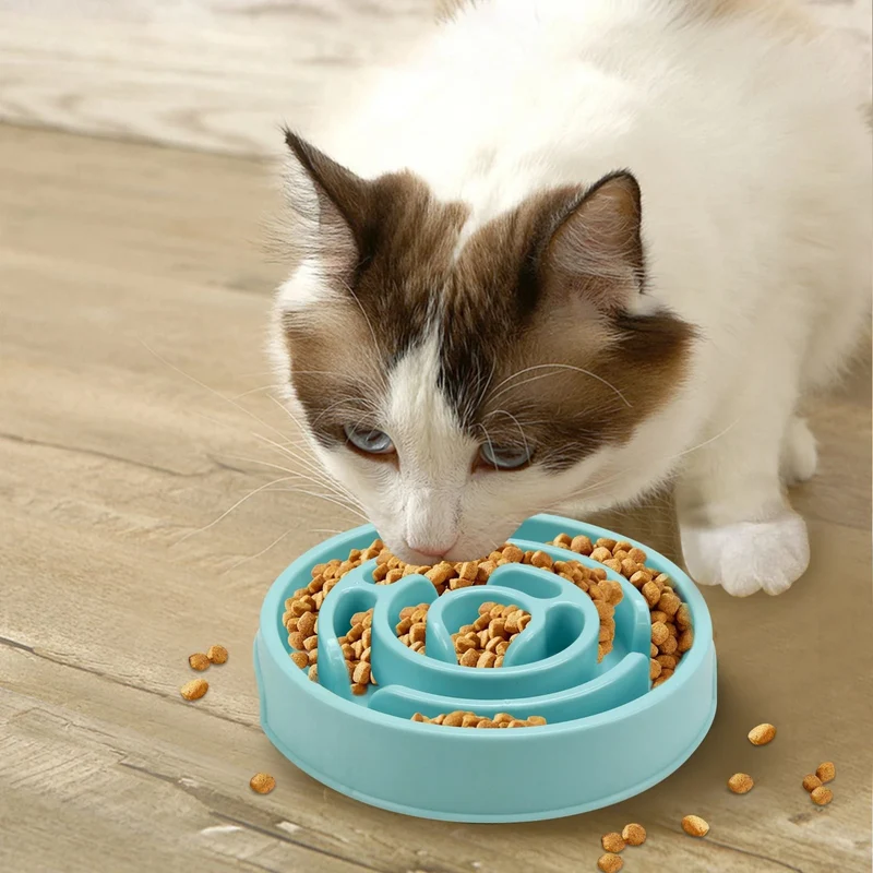 gamelle pour chat anti glouton | Dîner apaisé