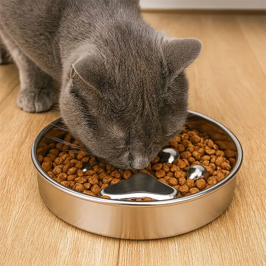 gamelle chat anti glouton | Croquette Contrôlée