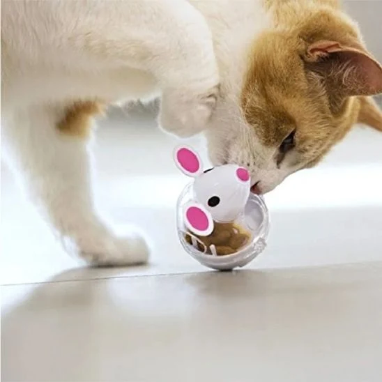 gamelle anti-glouton | DISTRI MOUSE