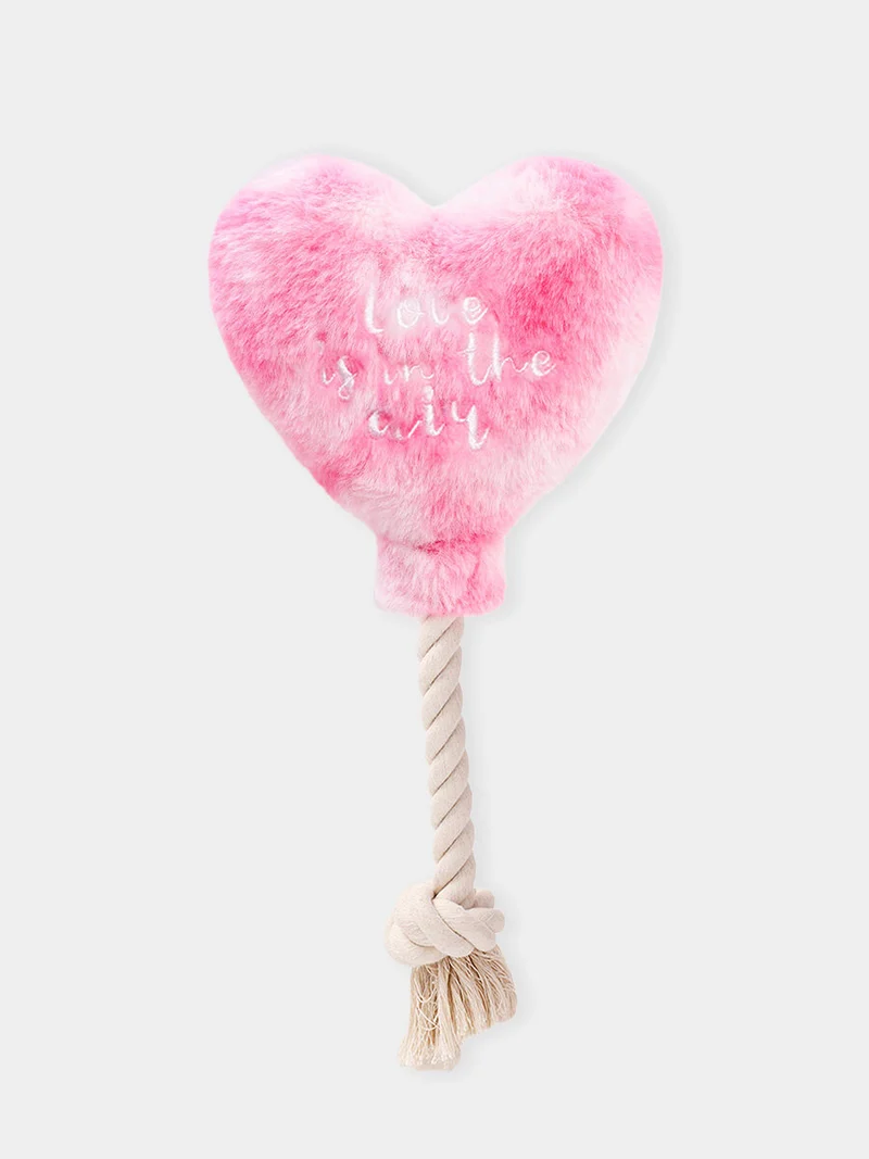 Jouet chiens love ballon cœur et corde - Inooko