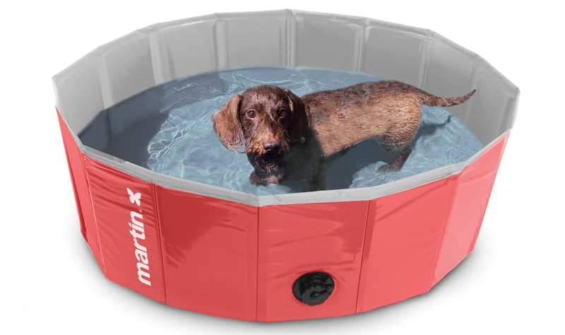Piscine pour chien - Martin Sellier