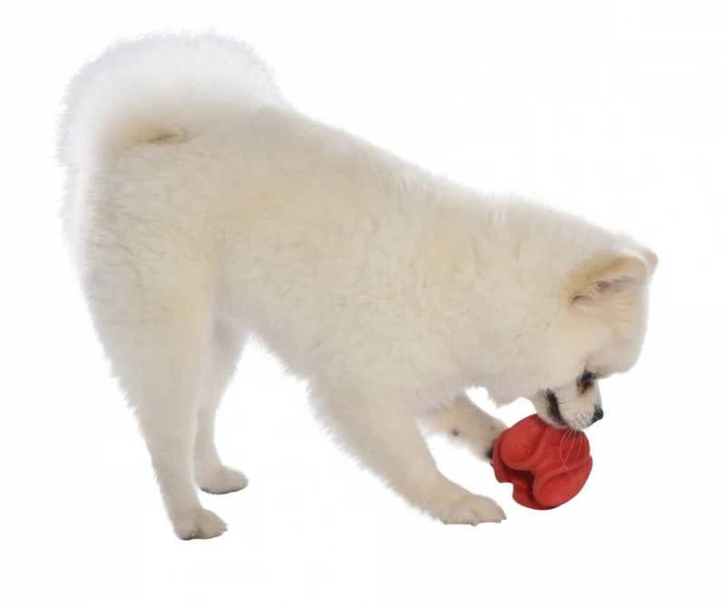 Jouet pour chiens WAVE - BOBBY CROCI