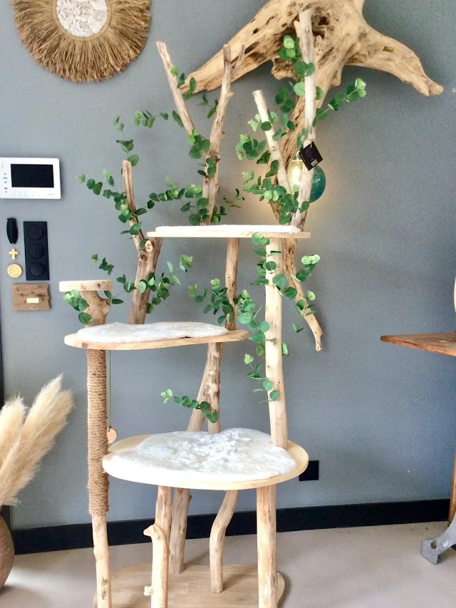 Arbre à chat en bois flotté 220 cm - Pièce artisanale Unique