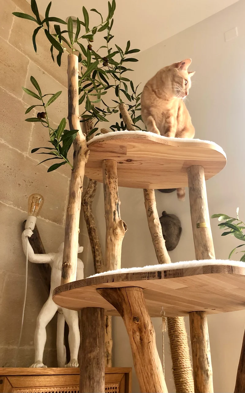🌳 Arbre à chat en bois flotté 180 cm - Pièce artisanale Unique