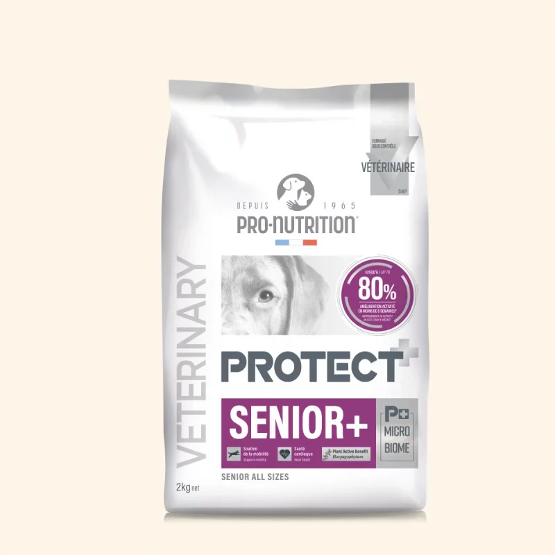 Protect Senior + Chien