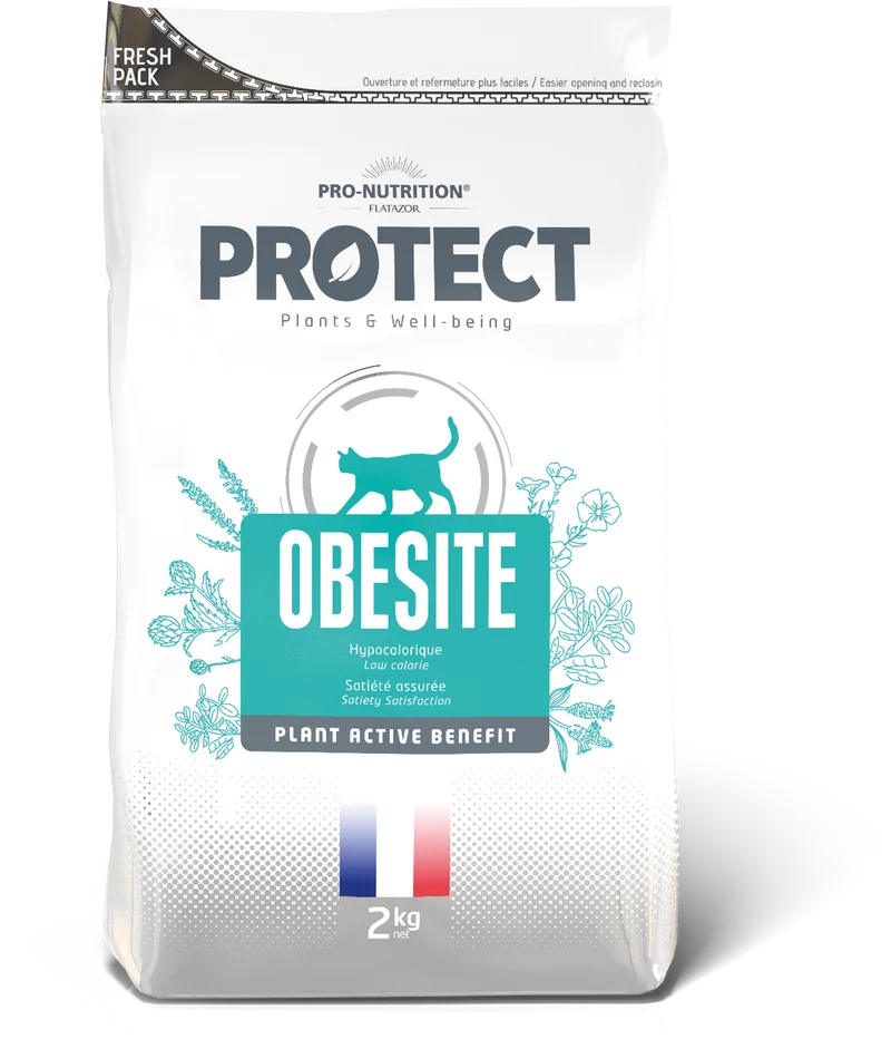 Protect Obésité Chat
