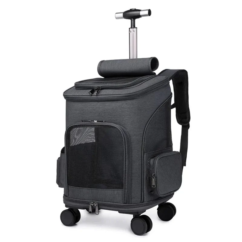 Sac Transport Chat XXL