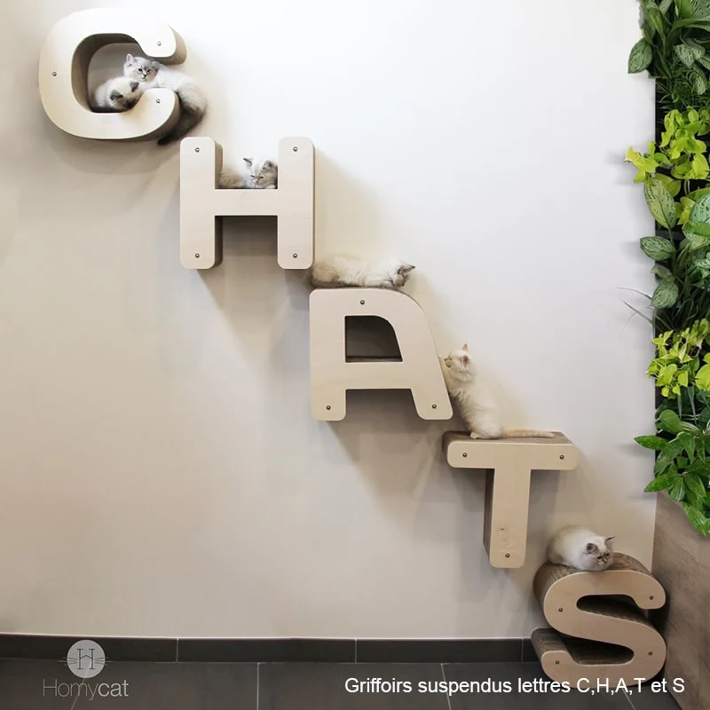 Pack "CHATS" - 5 lettres à poser (S ou XL) ou à accrocher au mur