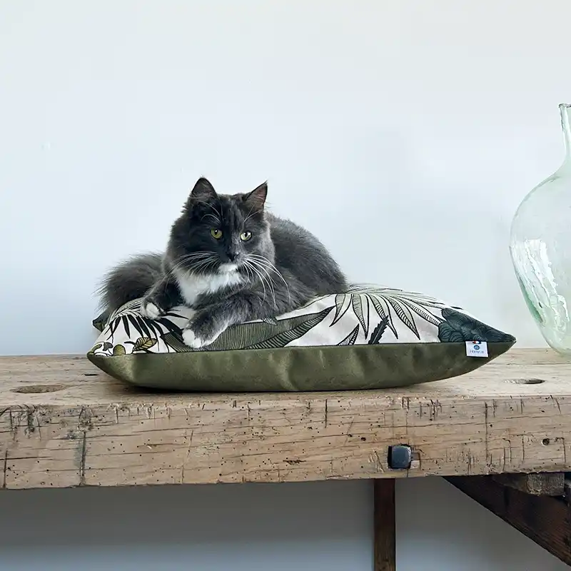 Coussins XL et S - Couchage chat stylé - Kaki Feuillage Tropical