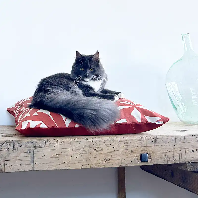 Coussins XL - Couchage chat stylé - Terracotta Feuillage Orange