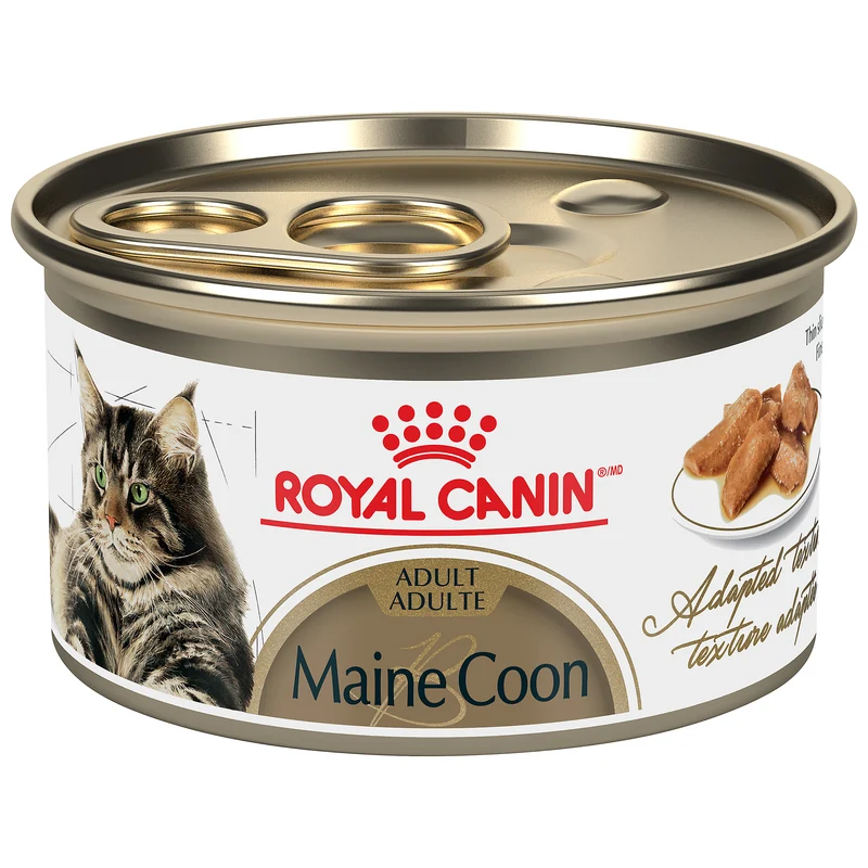 Royal Canin - Maine Coon Tranche en Sauce - Nourriture Humide pour Chats