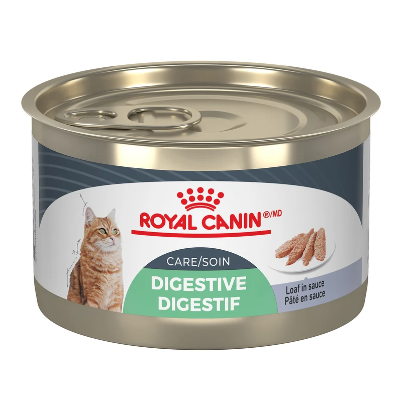 Royal Canin - Chat Soin Digestif Pâté en Sauce - Nourriture Humide pour Chats