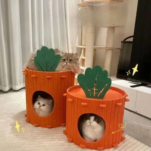 Griffoir pour chat carotte