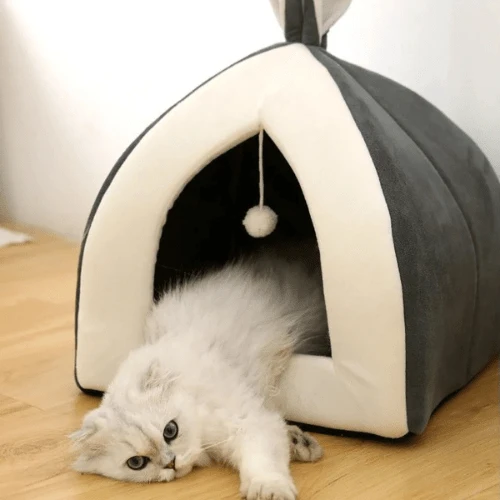 cabane pour chat oreilles de lapin