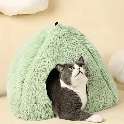 cabane chat igloo