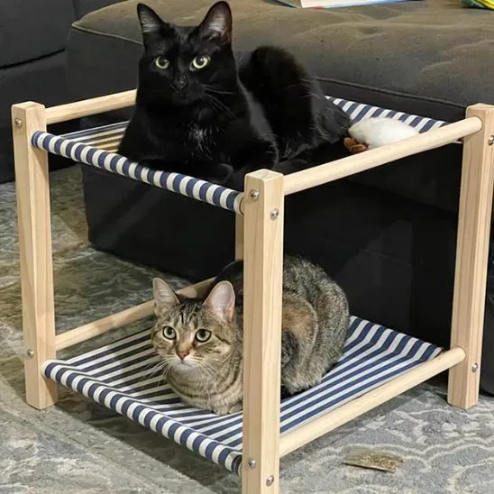 hamac pour chat double