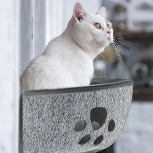 hamac chat fenetre gris