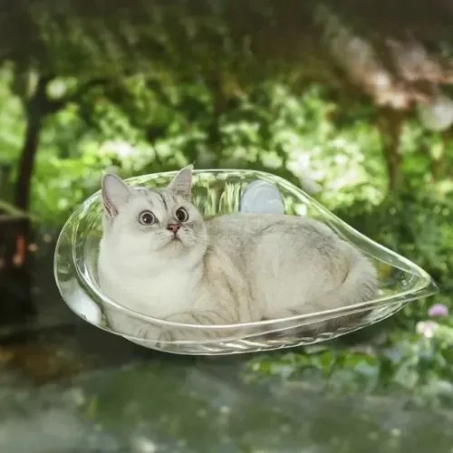 hamac pour chat fenetre transparent