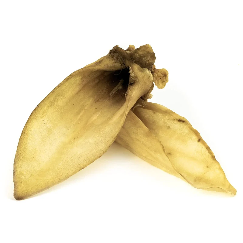 Oreilles d’agneau séchées 100 % naturelles SANADOG – Mastication (1 pièce)