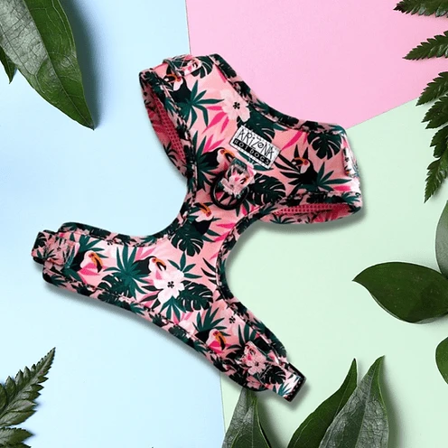 Harnais en H pour chien à motifs - Tropicool