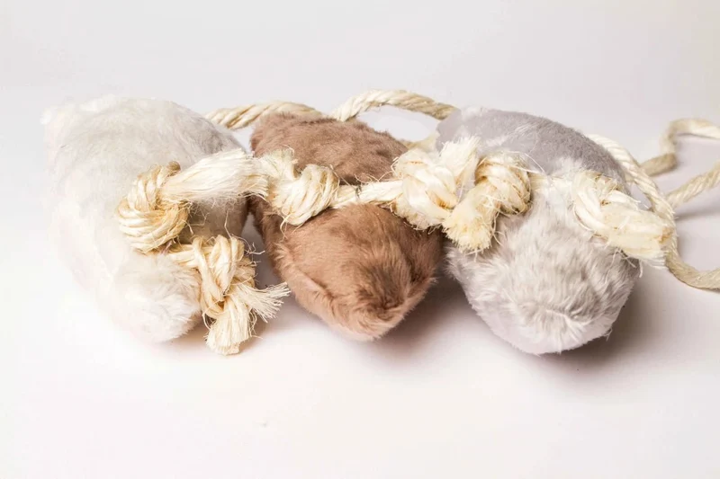 Souris à la valériane
