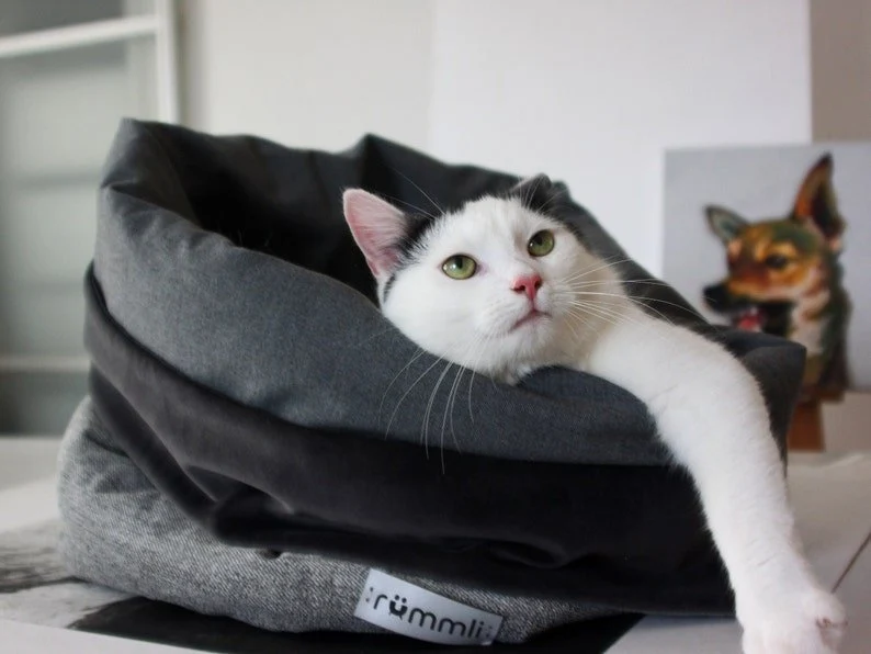 Panier Chat Velours Pour Confort Ultime