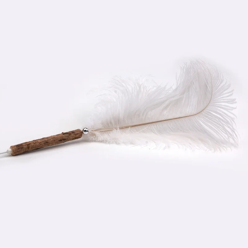 Agace-Chat Baguette avec Plume Géante