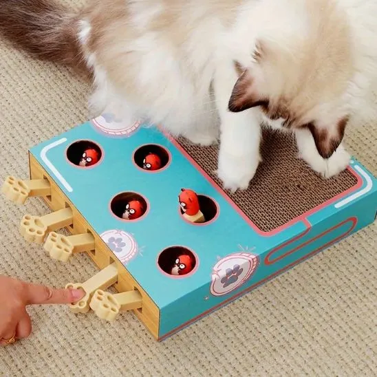 Griffoir chat carton - Planche avec jouet - Chasse & Griffe™