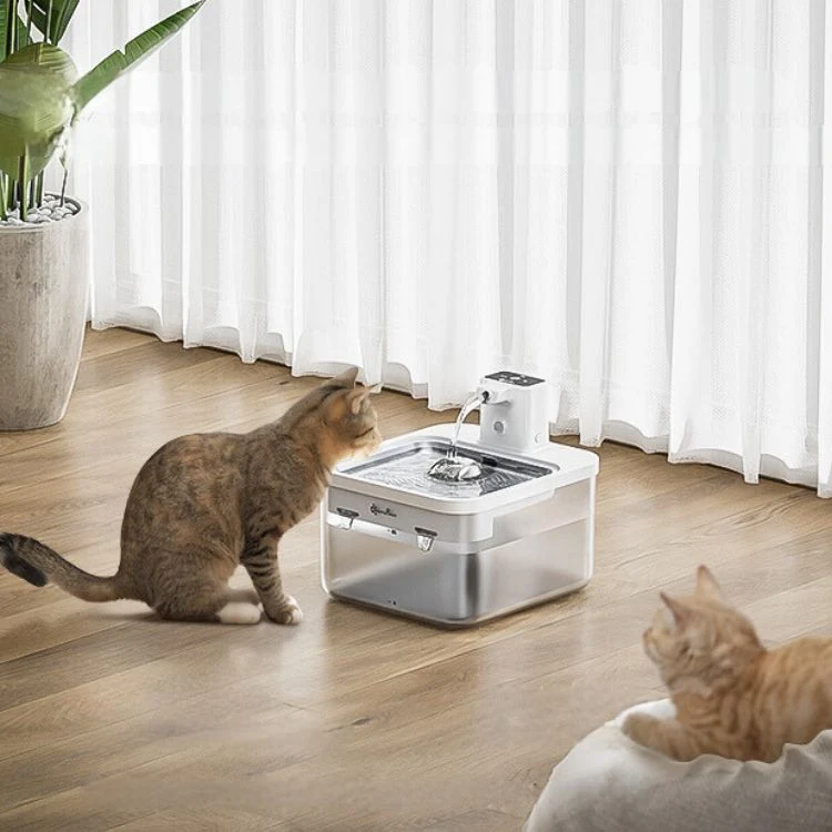 Fontaine à eau chat sans fil avec capteur - Paws