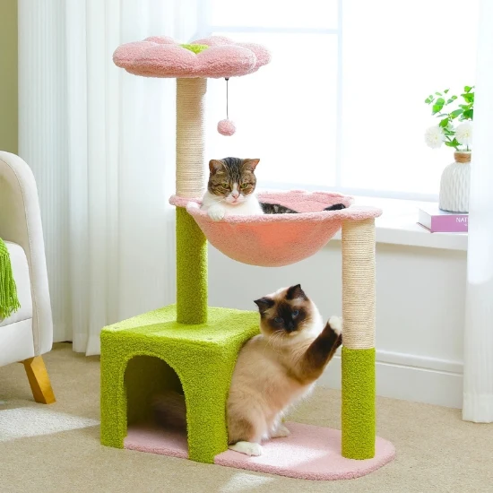 arbre a chat fleur - le jardin floral