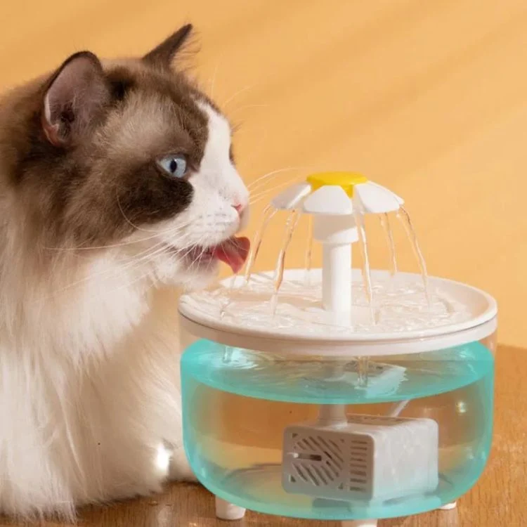 fontaine eau chat - Petal'eau